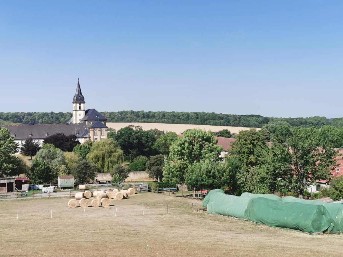 Ferienwohnung Alpakahof Goslar Exteriér fotografie
